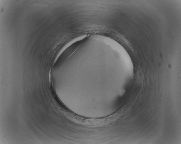 X0000083650027200703121757