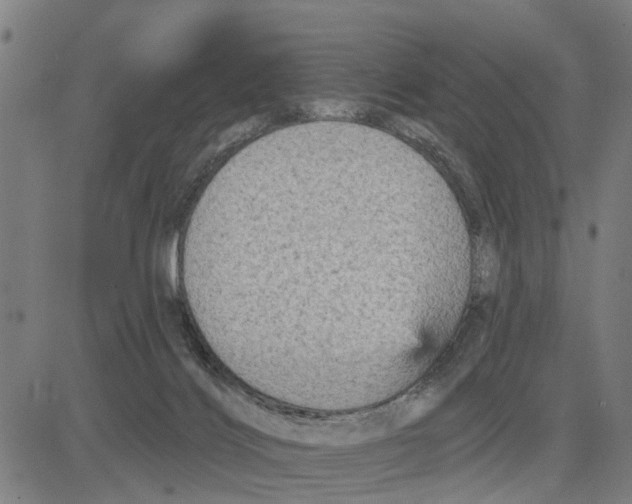 X0000083650028200703121757