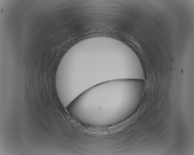 X0000083650029200703121757