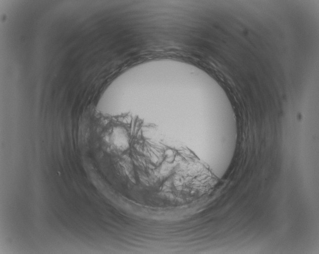 X0000083650030200703121757