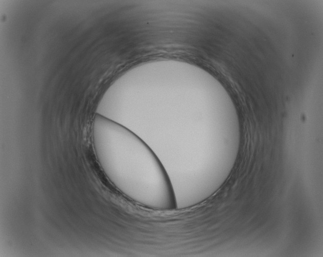 X0000083650031200703121757