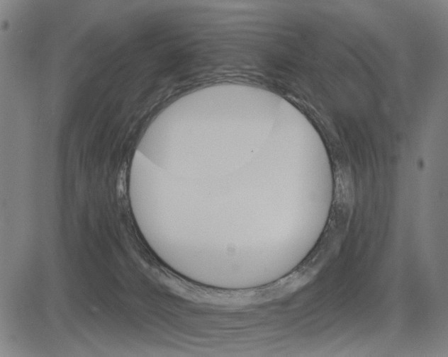 X0000083650032200703121757