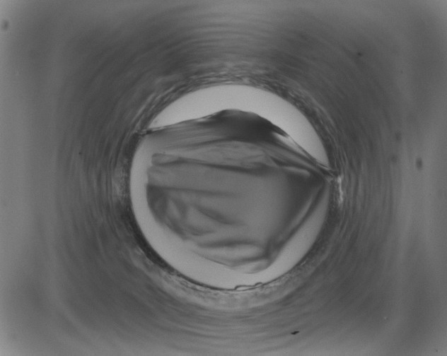 X0000083650035200703121757