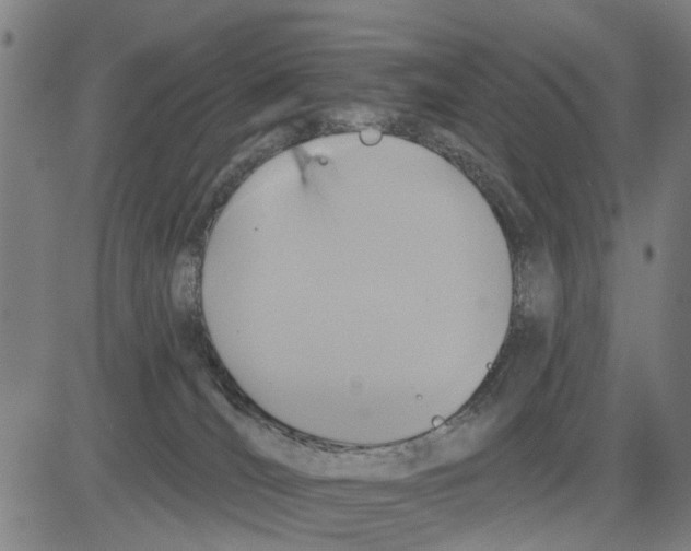 X0000083650036200703121757