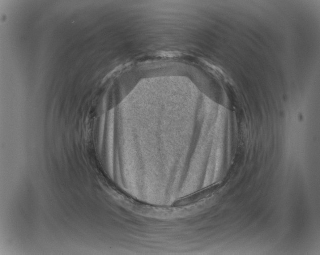 X0000083650037200703121757