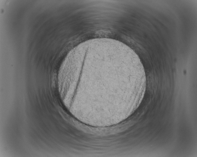 X0000083650038200703121757