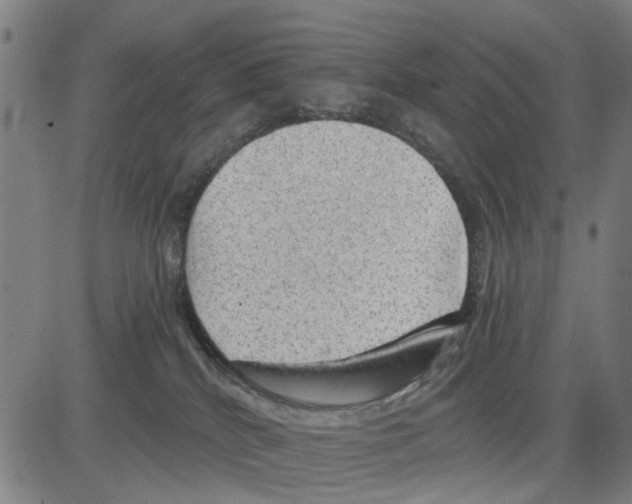 X0000083650040200703121757