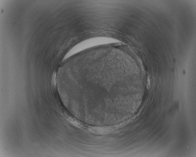 X0000083650041200703121757