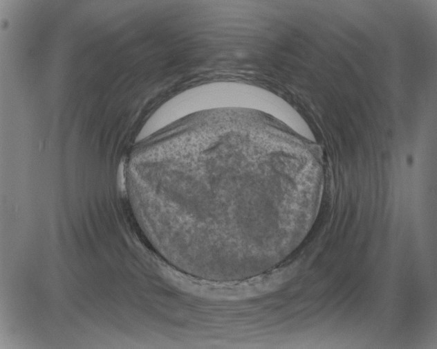 X0000083650042200703121757