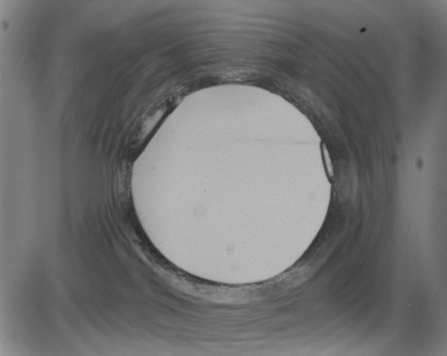 X0000083650044200703121757