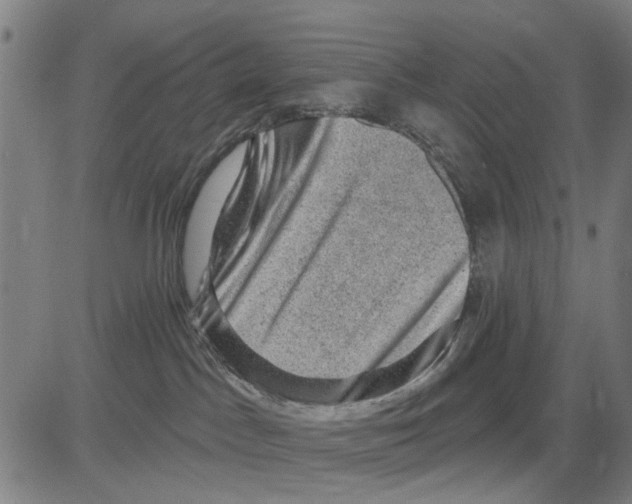 X0000083650045200703121757