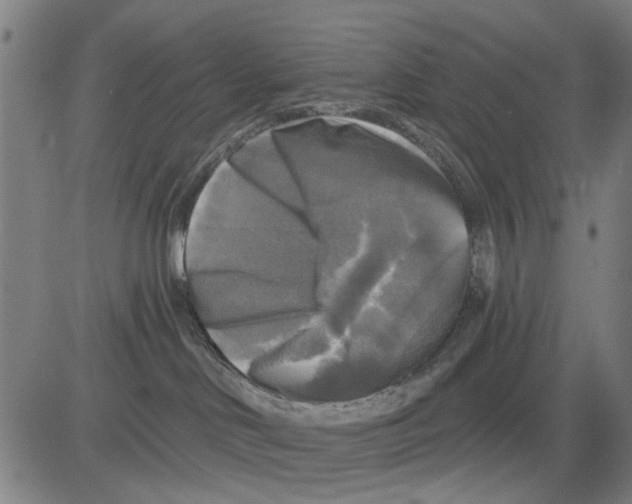 X0000083650046200703121756