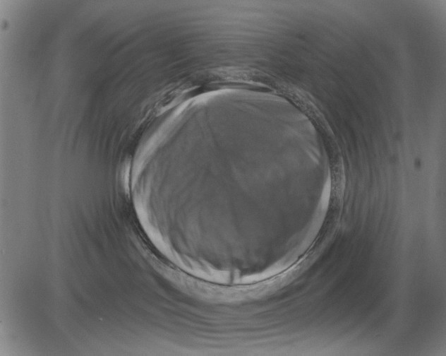 X0000083650047200703121756