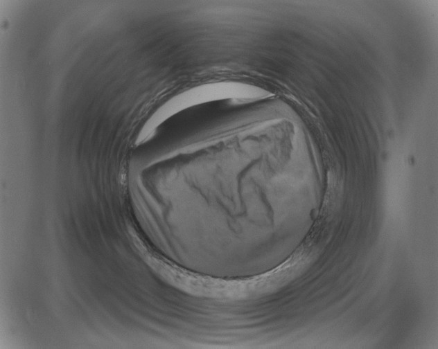 X0000083650048200703121756