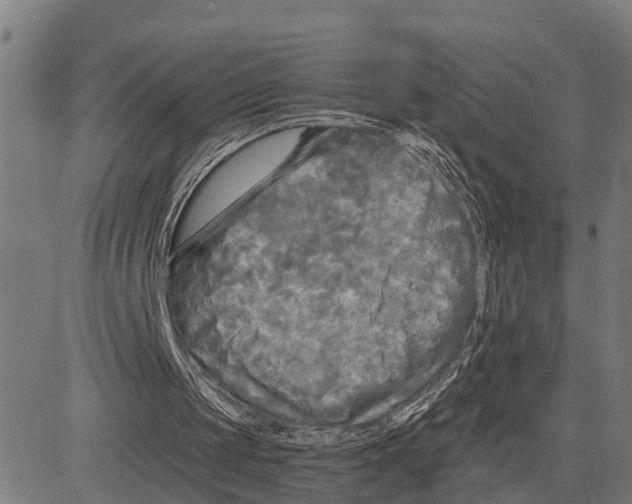 X0000083650049200703121756