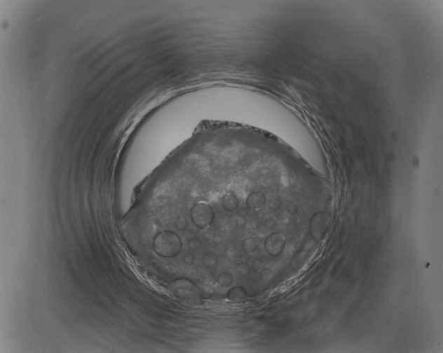 X0000083650050200703121756