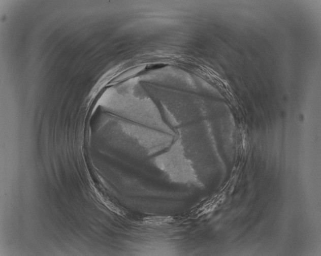 X0000083650051200703121756