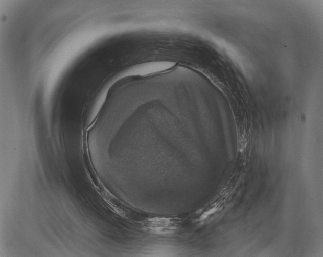 X0000083650052200703121756