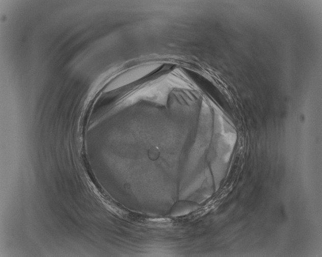 X0000083650053200703121756