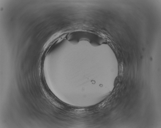 X0000083650054200703121756