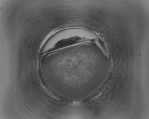 X0000083650056200703121756