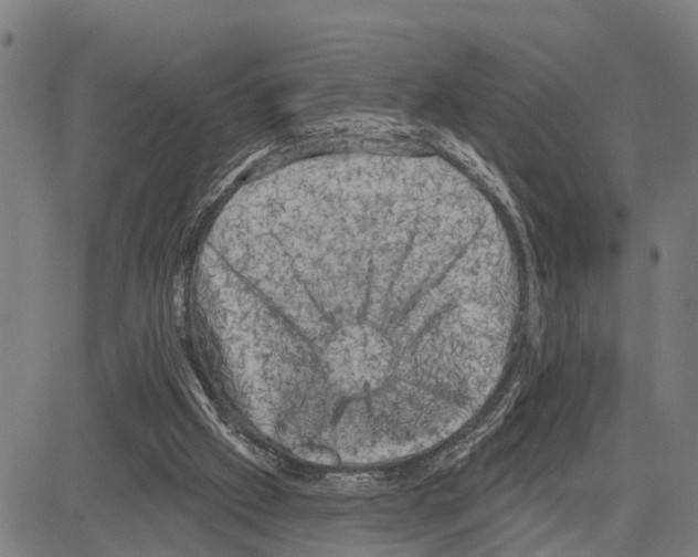 X0000083650057200703121756