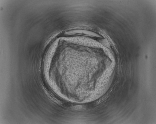 X0000083650058200703121756