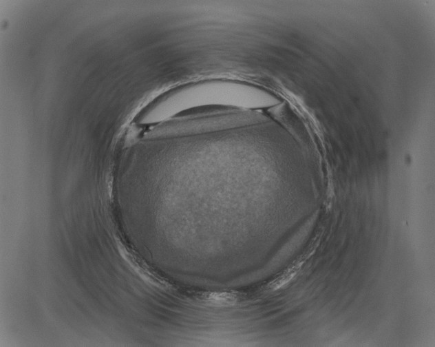 X0000083650060200703121756