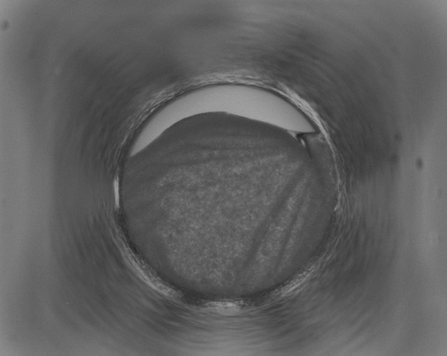 X0000083650061200703121756