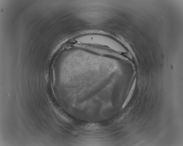 X0000083650063200703121756