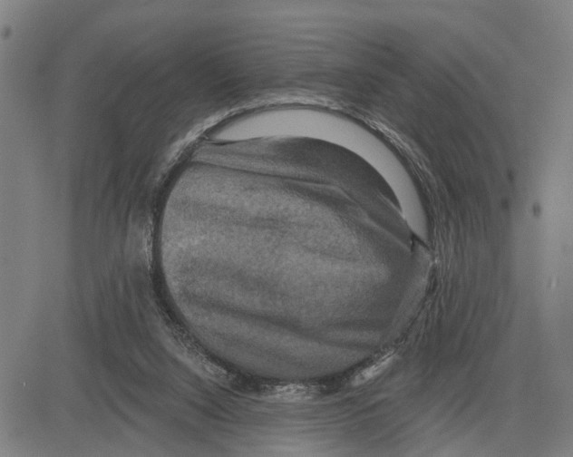 X0000083650064200703121756