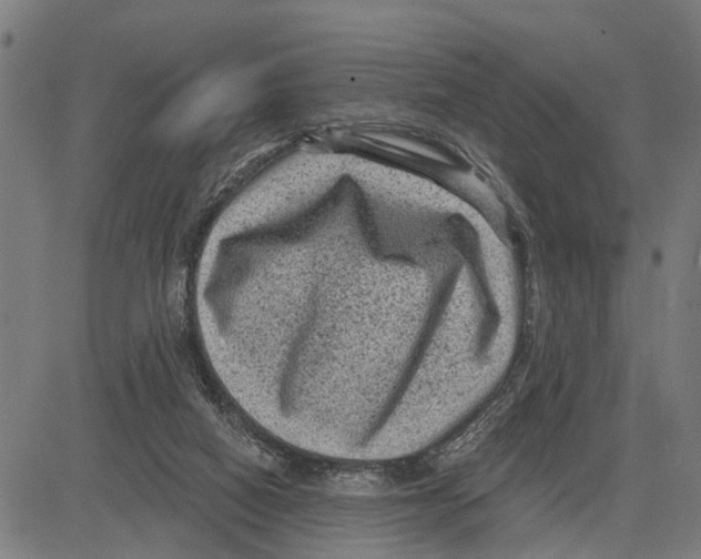 X0000083650066200703121756