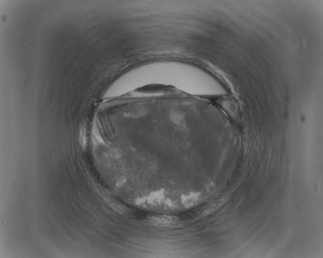 X0000083650069200703121756