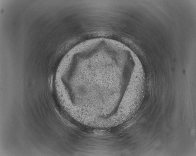 X0000083650070200703121756