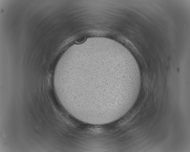 X0000083650071200703121756