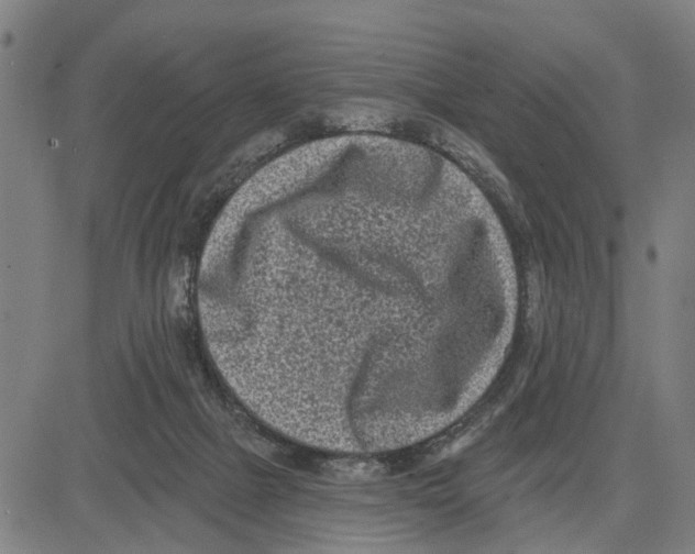 X0000083650073200703121756