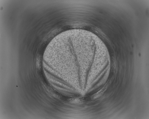 X0000083650074200703121756