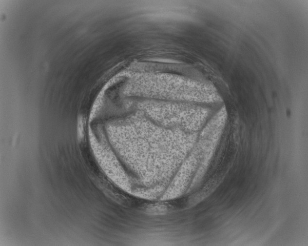 X0000083650075200703121756