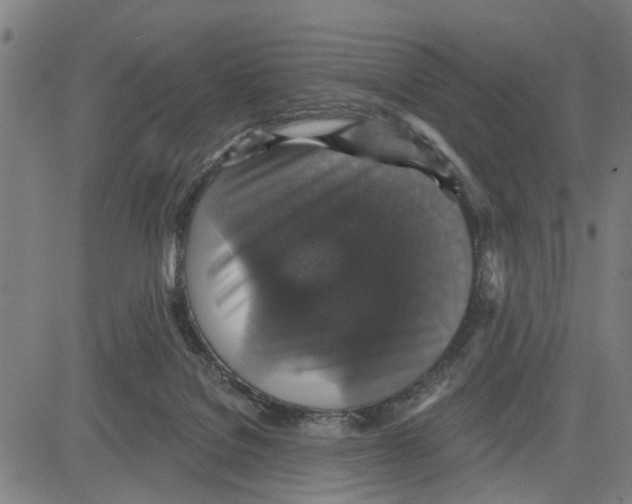 X0000083650076200703121756