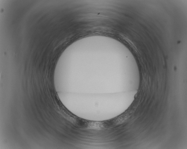 X0000083650077200703121756