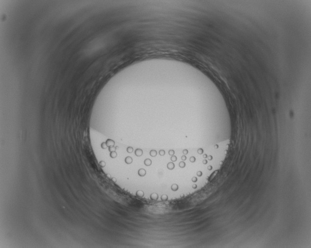 X0000083650079200703121756