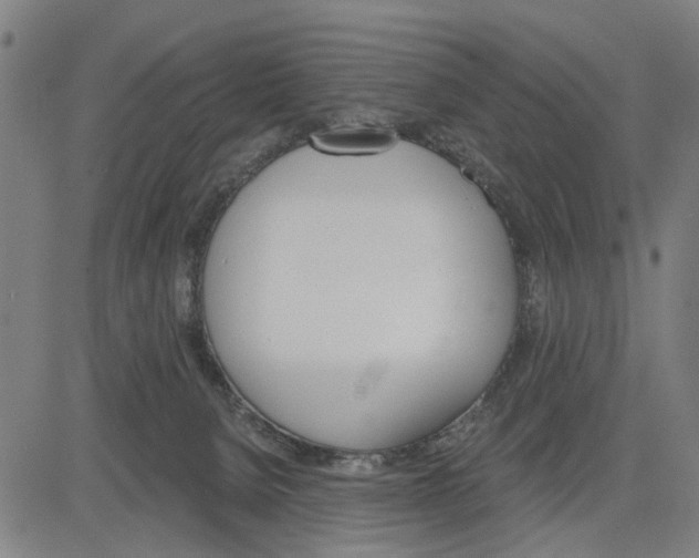 X0000083650080200703121756