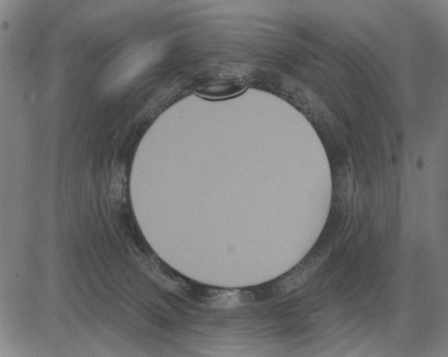 X0000083650083200703121756