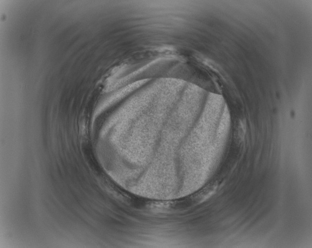 X0000083650084200703121756