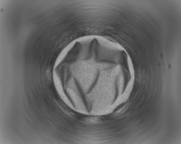 X0000083650086200703121756