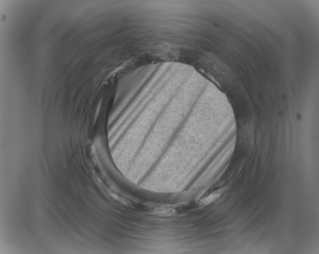 X0000083650088200703121756