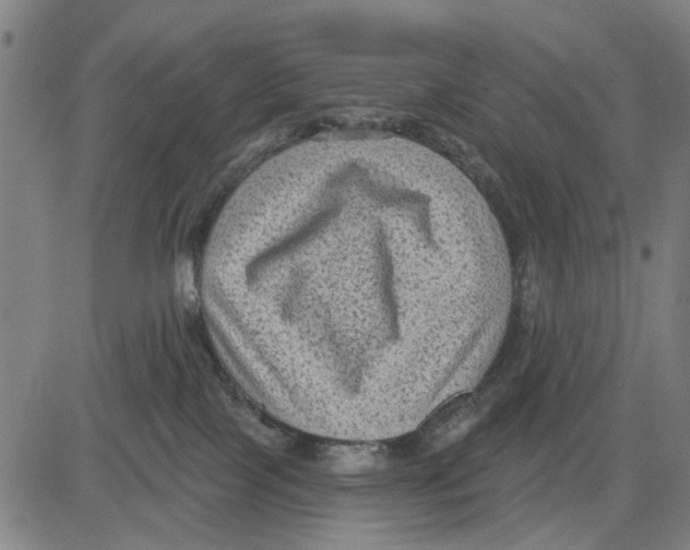 X0000083650089200703121756