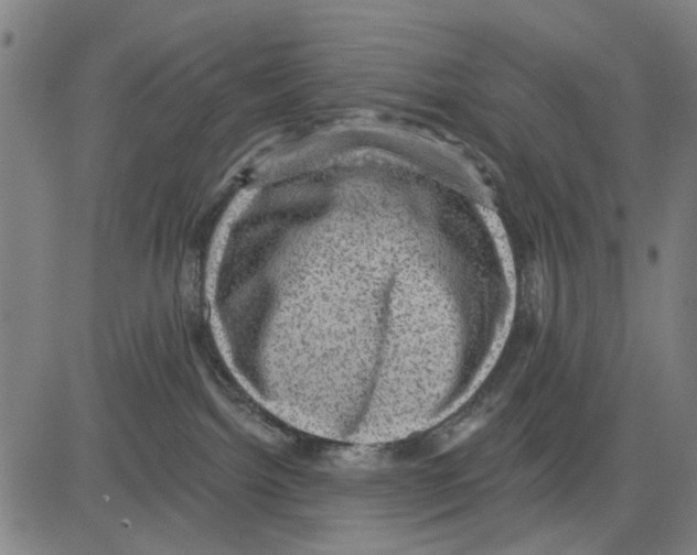 X0000083650092200703121756