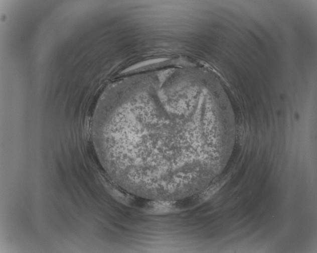 X0000083650093200703121756