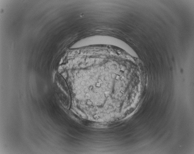 X0000083650094200703121756